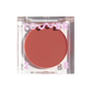 BeachPlease Cream Blush